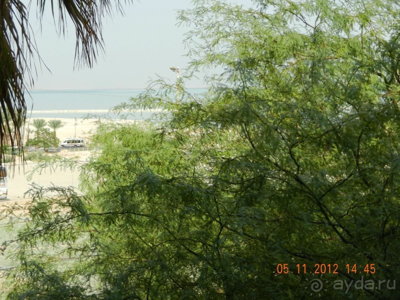 фото Leonardo Inn Dead Sea 