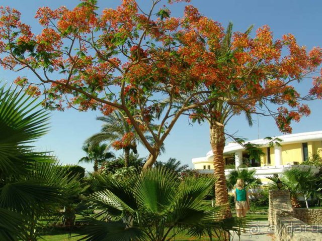 фото Mirage Bay Resort & Aquapark