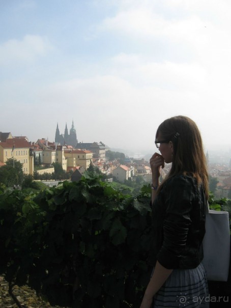 фото Olsanka