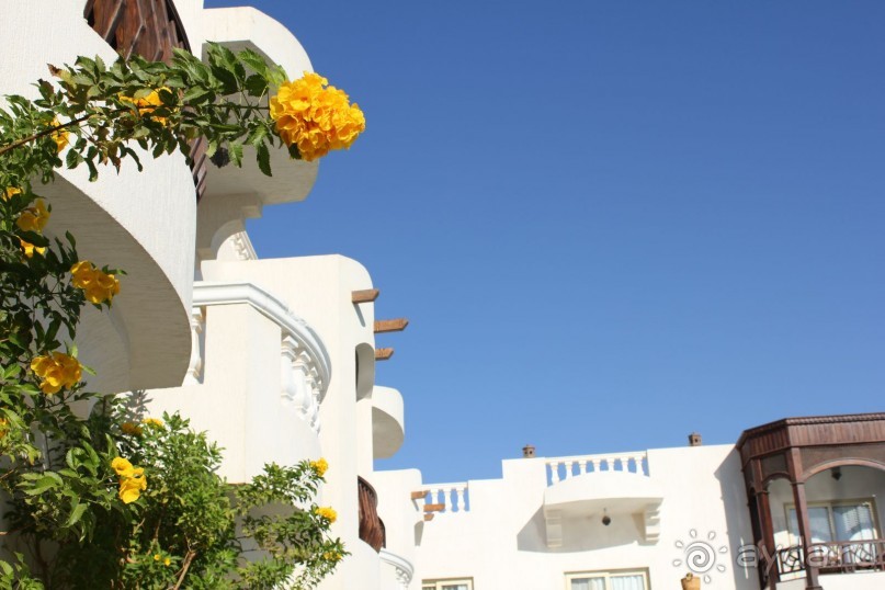 фото Oriental Rivoli Hotel & Spa 