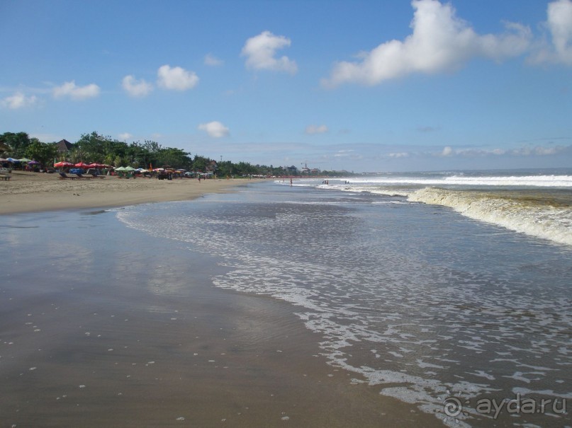 фото Vila Sarlotta