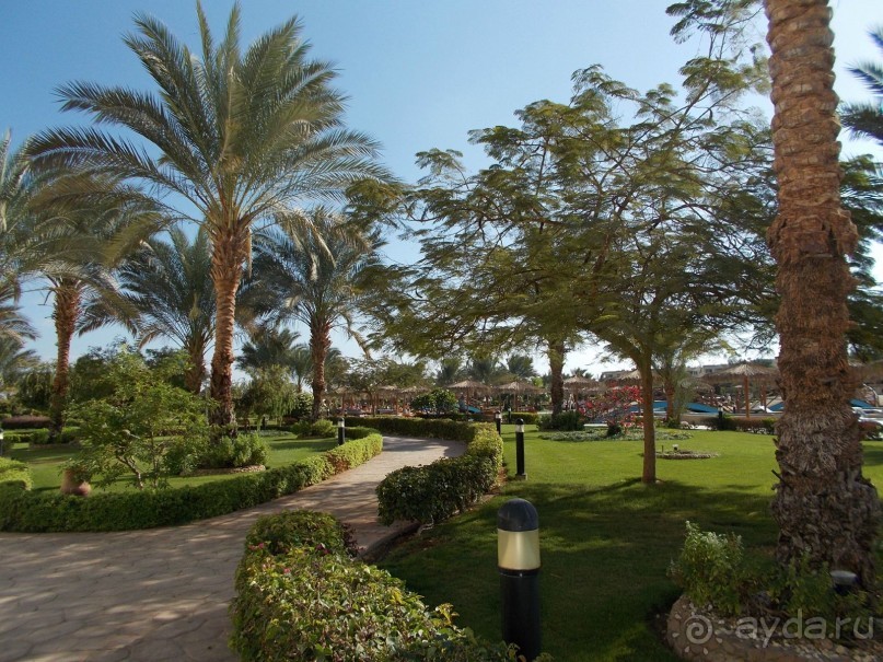 Шикарный отель!