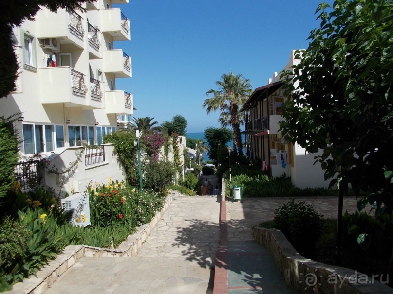 Отель Неплохой