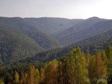 Прогулка по Бобровому логу и заповеднику Столбы.