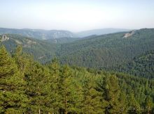 Прогулка по Бобровому логу и заповеднику Столбы.