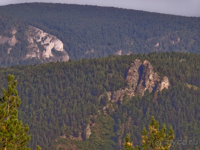 Прогулка по Бобровому логу и заповеднику Столбы.
