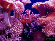 Ради чего стоит посетить Эйлат