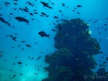 Ради чего стоит посетить Эйлат