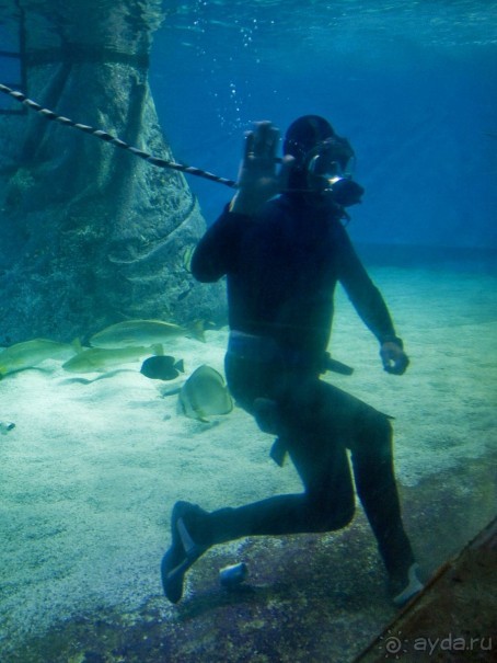 Ради чего стоит посетить Эйлат