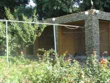 фото Южная ночь