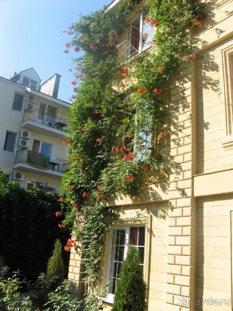 фото Южная ночь