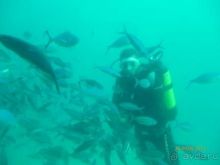 фото Sindbad Beach Resort