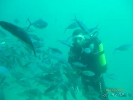 Синдбад Аква Отель