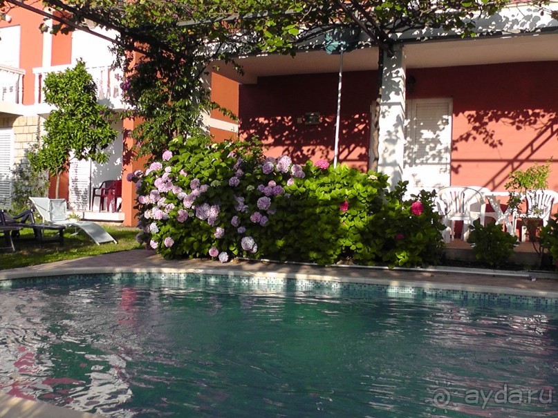 фото Villa Bojana