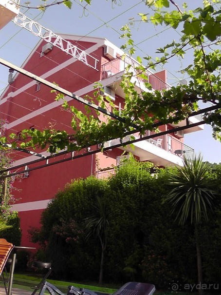 фото Villa Bojana