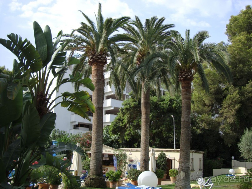 фото Eden Rock Renaissance Resort & Spa