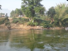 фото River Kwai Jungle Rafts