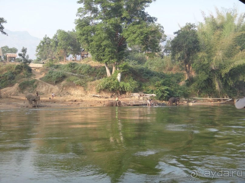 Вспомнили последнего Рэмбо