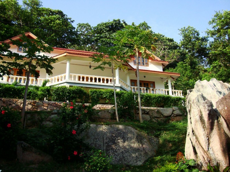 Всё об  Ла Диге в видео