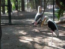 Божественный релакс - и снова вернёмся Божественный релакс - и снова вернёмся