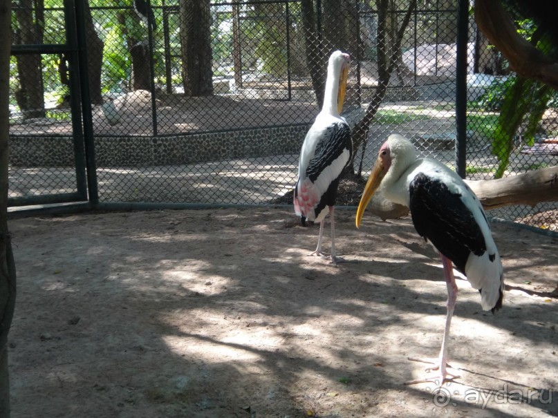 Божественный релакс - и снова вернёмся