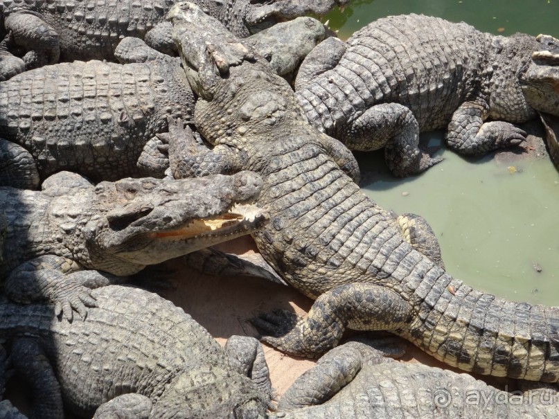 Божественный релакс - и снова вернёмся Божественный релакс - и снова вернёмся