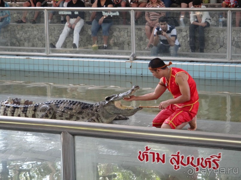 Божественный релакс - и снова вернёмся