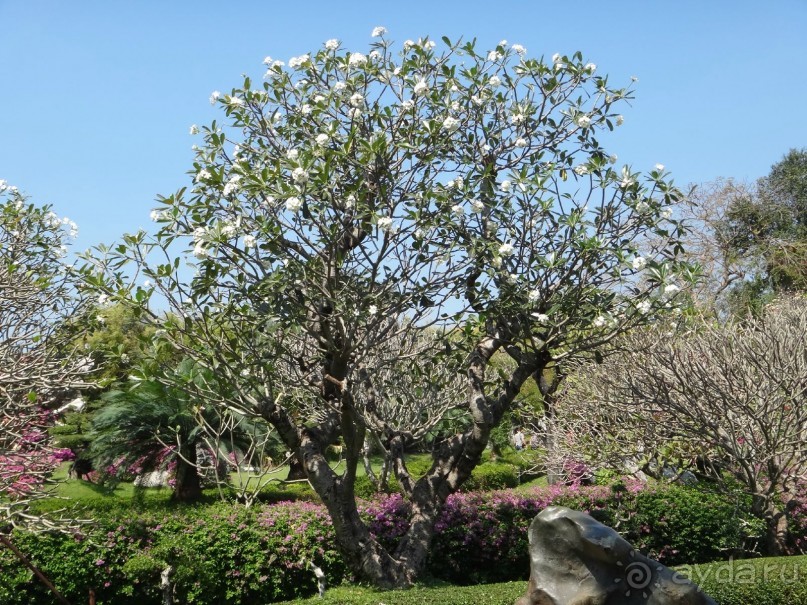 Божественный релакс - и снова вернёмся