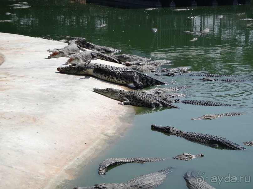 Божественный релакс - и снова вернёмся