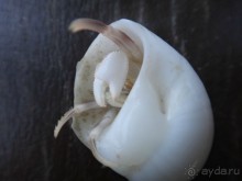 фото Klong Prao Resort