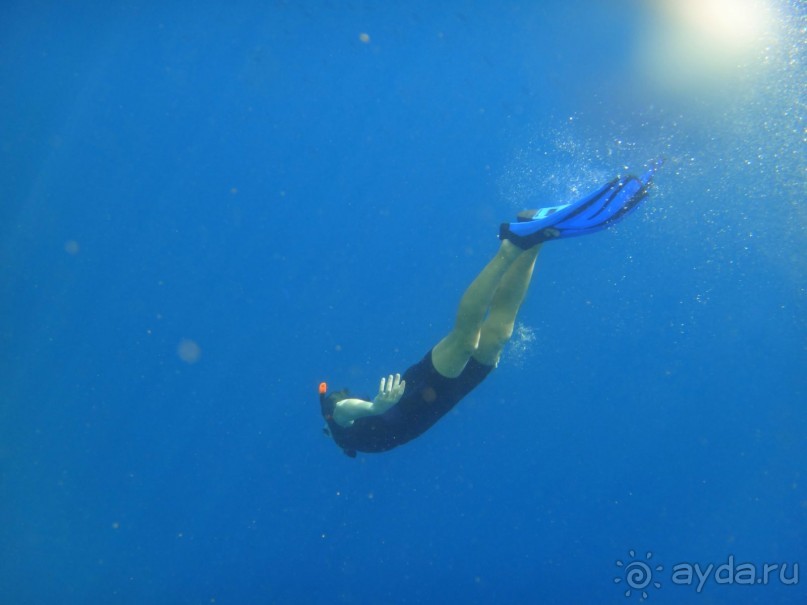 День рождение в арабских ритмах