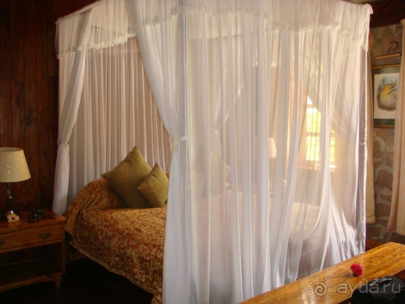 Чудо, не возможно забыть