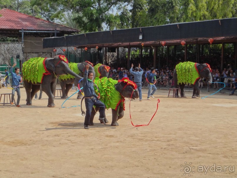 Красота - без ограничений Красота - без ограничений