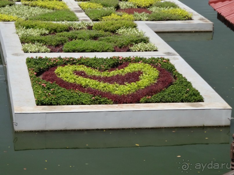 Красота - без ограничений Красота - без ограничений