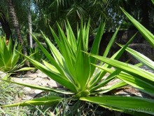 Красота - без ограничений Красота - без ограничений