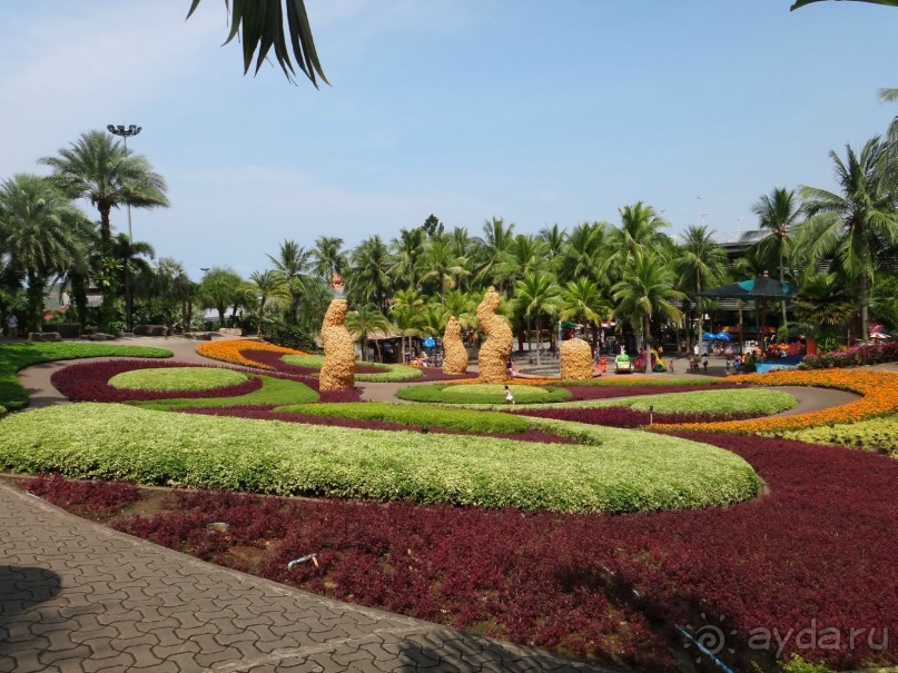 Красота - без ограничений Красота - без ограничений