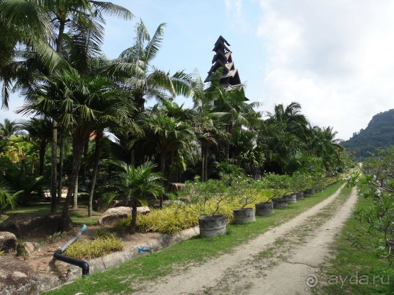 Красота - без ограничений Красота - без ограничений