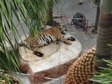 Красота - без ограничений Красота - без ограничений