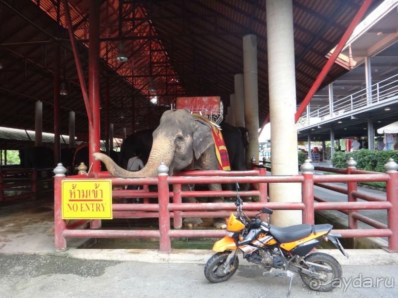 Красота - без ограничений Красота - без ограничений