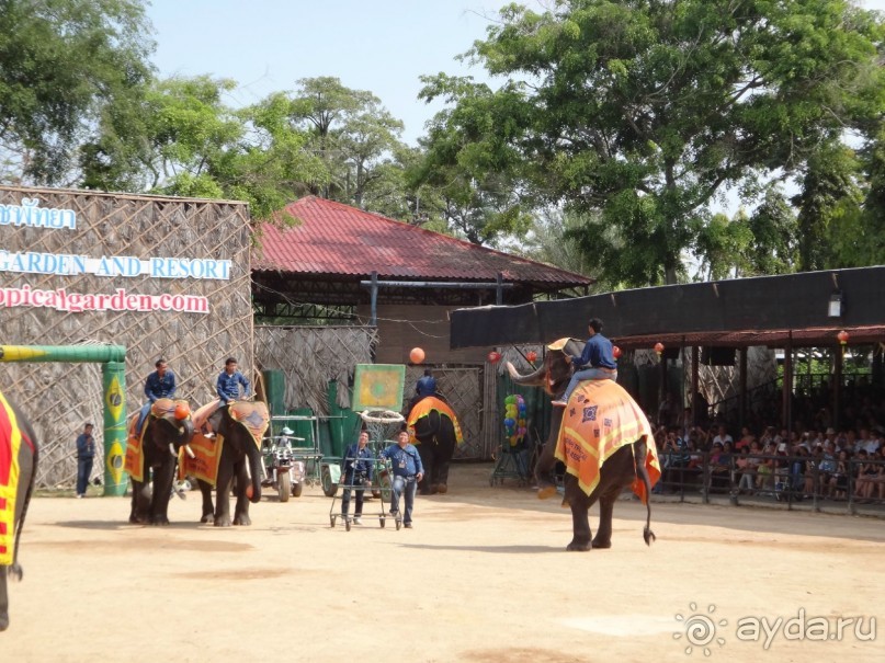 Красота - без ограничений Красота - без ограничений