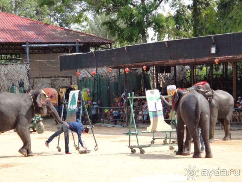 Красота - без ограничений 