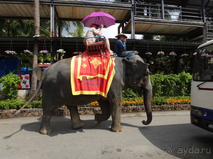 Красота - без ограничений 