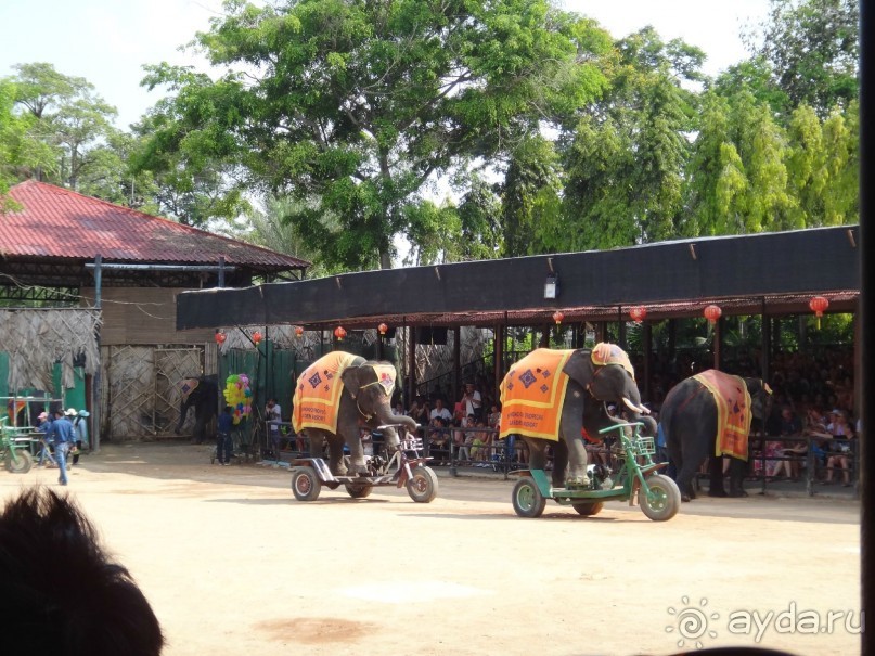 Красота - без ограничений 