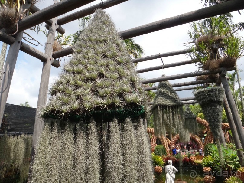 Красота - без ограничений 