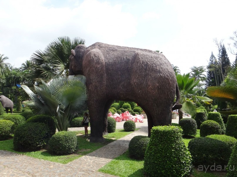 Красота - без ограничений 