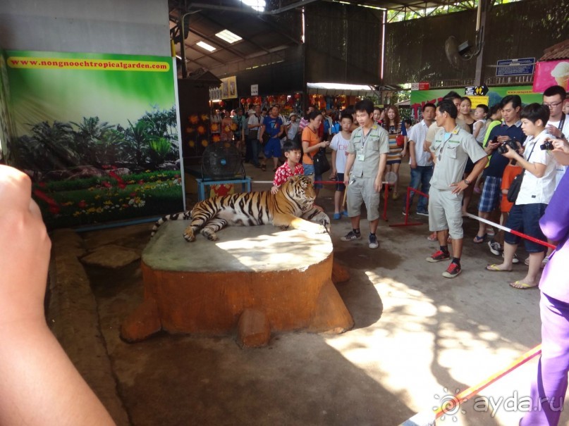 Красота - без ограничений 