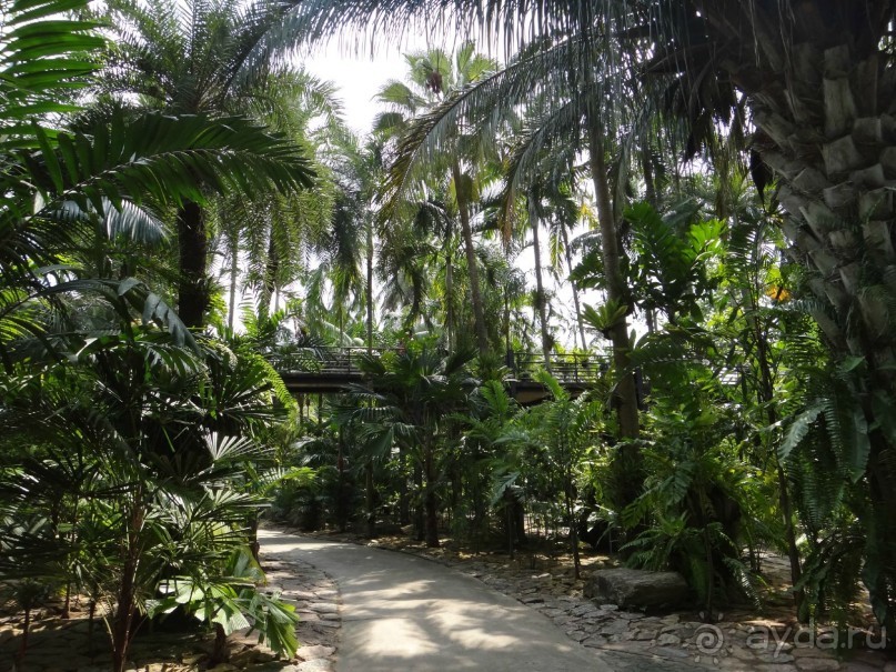 Красота - без ограничений 