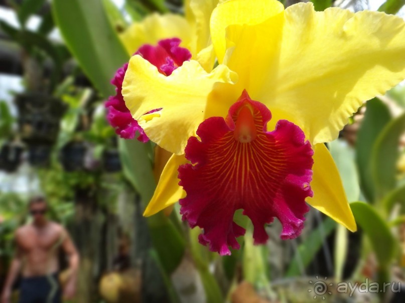 Красота - без ограничений 