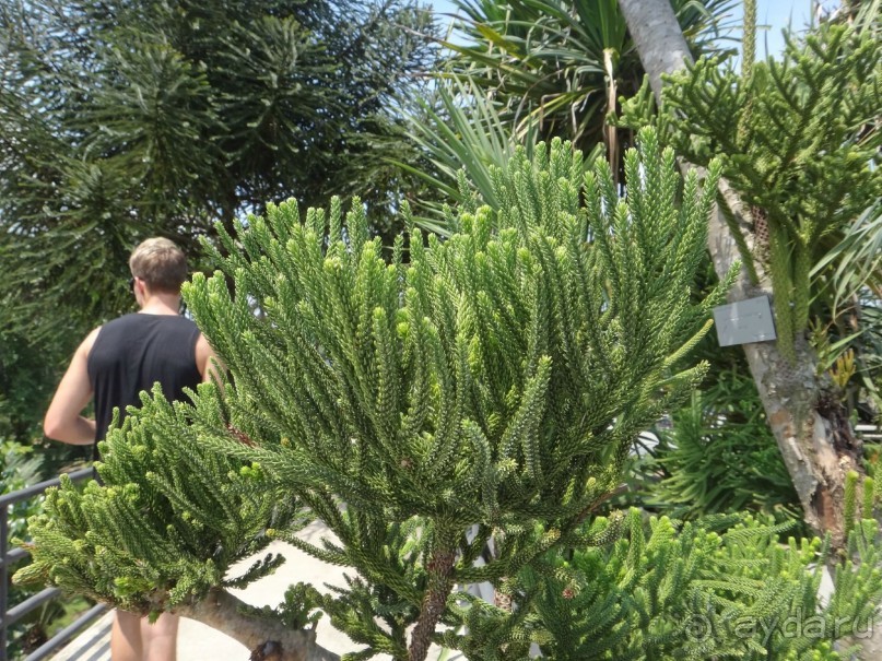 Красота - без ограничений 