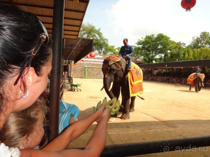 Красота - без ограничений 